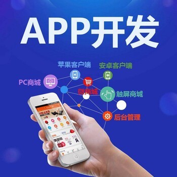 网络软件开发APP开发软件定制开发